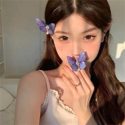 鸽之翼
